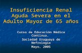 Insuficiencia Renal Aguda Severa en el Adulto Mayor de 65 años Curso de Educación Médica Continua. Sociedad Uruguaya de Nefrología Mayo, 2005 Dras. Fernández.
