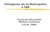 Patogenia de la Nefropatía a IgA Curso de Educación Médica Continua S.U.N. 2004.