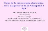 Valor de la microscopía electrónica en el diagnóstico de la Nefropatía a IgA ULTRAESTRUCTURA Ana Panuncio Patricia Saralegui UNIDAD DE MICROSCOPIA ELECTRONICA.