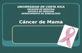 UNIVERSIDAD DE COSTA RICA FACULTAD DE MEDICINA ESCUELA DE MEDICINA DEPARTAMENTO DE GINECOLOGÍA Cáncer de Mama.