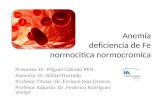 Anemia deficiencia de Fe normocitica normocromica Presenta: Dr. Miguel Galindo RMI Asesoría: Dr. Rafael Hurtado Profesor Titular: Dr. Enrique Díaz Greene.