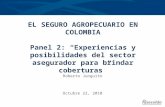 EL SEGURO AGROPECUARIO EN COLOMBIA Panel 2: Experiencias y posibilidades del sector asegurador para brindar coberturas Roberto Junguito Octubre 22, 2010.