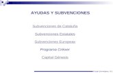 AYUDAS Y SUBVENCIONES Subvenciones de Cataluña Subvenciones Estatales Subvenciones Europeas Programa Créixer Capital Génesis Grupo Eurosigma, S.L.