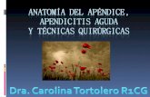 Apendicitis 1ra. causa de Abdomen Agudo no traumático. Smitk. Rozhl Chir. 2009 Aug;88(8):466-8.UK.