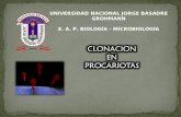 clonacion en procariotas.ppt