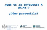 ¿Qué es la Influenza A (H1N1)? ¿Cómo prevenirla? Universidad Nacional de San Juan Secretaria de Obras y Servicios Comité de Higiene y Seguridad.