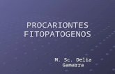 Procariontes fitopatogenos