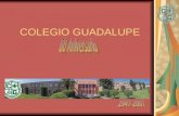 COLEGIO GUADALUPE. El Colegio Guadalupe forma parte de la extensa Comunidad Internacional de Instituciones Educativas Benedictinas. Cuenta con el reconocimiento.