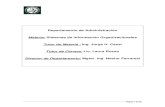 SISTEMAS DE INFORMACION ORGANIZACIONALES - GUIA.pdf