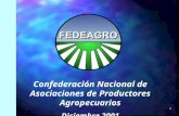 1 Confederación Nacional de Asociaciones de Productores Agropecuarios Diciembre 2001.