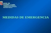 MEDIDAS DE EMERGENCIA Consejería de Presidencia y Administración Territorial Secretaría General Junta de Castilla y León.