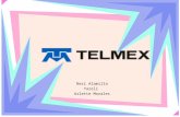 Neri Alamilla Yareli Arlette Morales. Misión La empresa de TELMEX tiene como misión ser un grupo líder en telecomunicaciones, proporcionando a los clientes.
