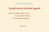 Autores: Dr. Rafael Falagán Perera. Lic. Yenni Pavón Hidalgo Dr. Yúrel Falagán González Holguín 2007 Insuficiencia arterial aguda Trabajo publicado en.