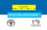 Proyecto OSRO / COL / 501 / ITA AGRICULTURA URBANA / SEGURIDAD ALIMENTARIA / POBLACIÓN EN CONDICIONES DE DESPLAZAMIENTO.