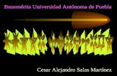 Benemérita Universidad Autónoma de Puebla Cesar Alejandro Salas Martínez.