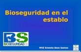 MVZ Ernesto Beas Santos Bioseguridad en el establo Bioseguridad en el establo.
