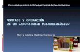 Mayra Cristina Martinez Ceniceros Universidad Autónoma de Chihuahua Facultad de Ciencias Químicas.