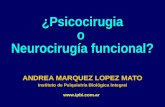 ¿Psicocirugia o Neurocirugía funcional? ANDREA MARQUEZ LOPEZ MATO Instituto de Psiquiatría Biológica Integral .