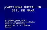 CARCINOMA DUCTAL IN SITU DE MAMA Dr. Manuel Araya Vargas Unidad de Ginecología Oncológica Servicio de Ginecología Hospital Dr. R. A. Calderón Guardia.