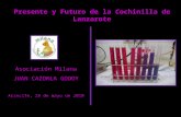 Presente y Futuro de la Cochinilla de Lanzarote Asociación Milana JUAN CAZORLA GODOY Arrecife, 28 de mayo de 2010.
