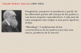 Charles Robert Darwin (1809-1882) Pangénesis: pangenes se producen a partir de las diferentes partes del cuerpo de los padres y van hacia órganos reproductivos