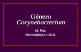 Género Corynebacterium M. Paz Microbiología I-2011.