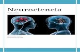 Neurociencia. Telencefalo.pdf