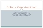 3 Cultura Organizacional2