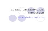 EL SECTOR SERVICIOS introducción pjurado@educa.madrid.org.