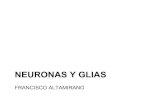 Clase 3 NEURONAS Y GLIAS.pdf