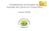Estadísticas sectoriales de Ganado de Carne en Costa Rica Junio 2009.