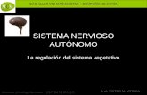 BACHILLERATO MARIANISTAS + COMPAÑÍA DE MARÍA Prof. VÍCTOR M. VITORIA Anatomía y Fisiología Humanas – SISTEMA NERVIOSO SISTEMA NERVIOSO AUTÓNOMO La regulación.