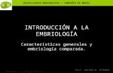 BACHILLERATO MARIANISTAS + COMPAÑÍA DE MARÍA Prof. VÍCTOR M. VITORIA Anatomía y Fisiología Humanas - EMBRIOLOGÍA INTRODUCCIÓN A LA EMBRIOLOGÍA Características.
