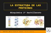 © - PROFESOR JANO es Víctor M. Vitoria – B I O L O G Í A LA ESTRUCTURA DE LAS PROTEÍNAS Bioquímica 2º bachillerato.