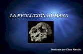 LA EVOLUCI“N HUMANA Realizado por C©sar Alarc³n