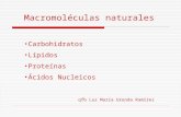 Macromoléculas naturales Carbohidratos Lípidos Proteínas Ácidos Nucleicos qfb Luz María Urenda Ramírez.