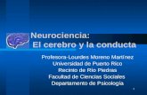 1 Neurociencia: El cerebro y la conducta Profesora-Lourdes Moreno Martínez Universidad de Puerto Rico Recinto de Río Piedras Facultad de Ciencias Sociales.