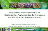 SEGURIDAD ALIMENTARIA NUTRICIONAL INSTITUTO DE NUTRICIÓN DE CENTRO AMERICA Y PANAMÁ XXXVII Reunión Ordinaria del COMISCA Managua, Nicaragua 3 y 4 de diciembre.