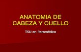 Anatomia Cabez y Cuello Ppt