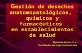G estión de desechos anatomopatológicos, químicos y farmacéuticos en establecimientos de salud Rigoberto Blanco Ph. D. Coordinador del Proyecto/Costa Rica.