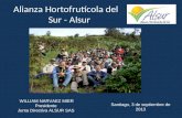 Alianza Hortofrutícola del Sur - Alsur WILLIAM NARVAEZ MIER Presidente Junta Directiva ALSUR SAS Santiago, 3 de septiembre de 2013.