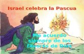 Israel celebra la Pascua Me acuerdo siempre de los favores de Dios.