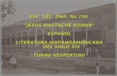 ESC. SEC. DNA. No 230 JESUS MASTACHE ROMAN ESPAÑOL LITERATURA HISPANOAMERICANA DEL SIGLO XIX TURNO VESPERTINO.