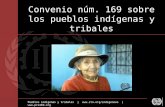 Pueblos indígenas y tribales |  |  Convenio núm. 169 sobre los pueblos indígenas y tribales.