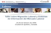 Taller sobre Migración Laboral y Sistemas de Información del Mercado Laboral 24-25 de febrero de 2009 Ciudad de Québec, Canadá