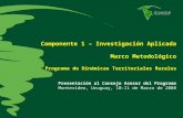 Componente 1 – Investigación Aplicada Marco Metodológico Programa de Dinámicas Territoriales Rurales Presentación al Consejo Asesor del Programa Montevideo,
