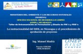 1 MINISTERIO DEL AMBIENTE Y LOS RECURSOS NATURALES (MARENA) OFICINA NACIONAL DE DESARROLLO LIMPIO (ONDL)- NICARAGUA Taller de Entrenamiento en Formulación.