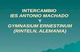INTERCAMBIO IES ANTONIO MACHADO Y GYMNASIUM ERNESTINUM (RINTELN, ALEMANIA)