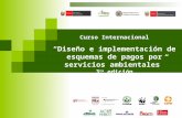 Curso Internacional Diseño e implementación de esquemas de pagos por servicios ambientales 3 ra edición.