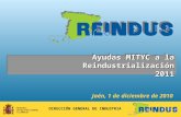 Ayudas MITYC a la Reindustrialización 2011 DIRECCIÓN GENERAL DE INDUSTRIA Jaén, 1 de diciembre de 2010.